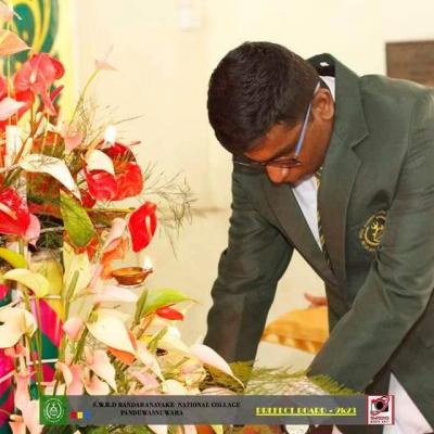 368476760 724482999696532 6600002406508154084 N