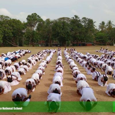 430164977 825333486275740 8160672203566289988 N