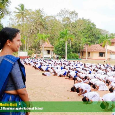 430216964 825333209609101 8755627576032844393 N